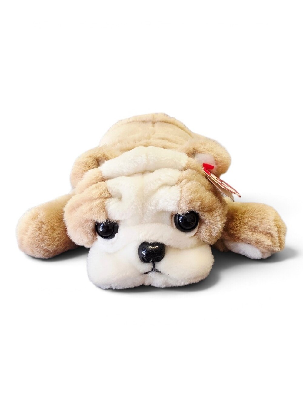 TY Classic Churchill the Dog